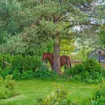 Peaceful Family * Vielsalm