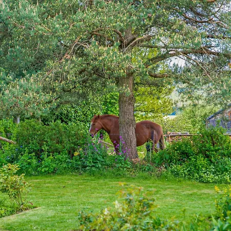 Captivating In Near The Forest Casa vacanze