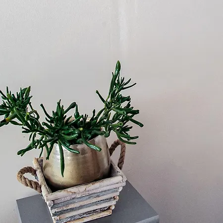 Vakantiehuis Peaceful Family Vielsalm