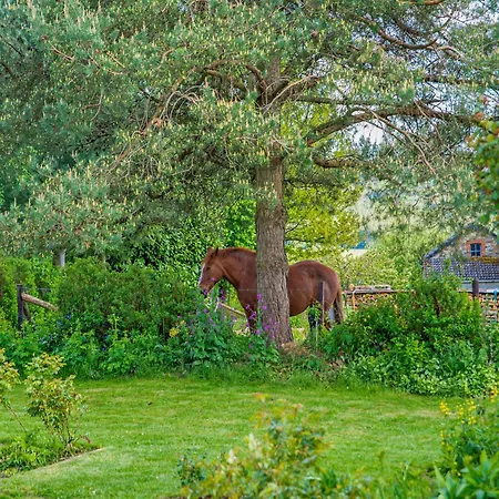 Peaceful Family * Vielsalm